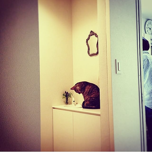 margon69さんの実例写真