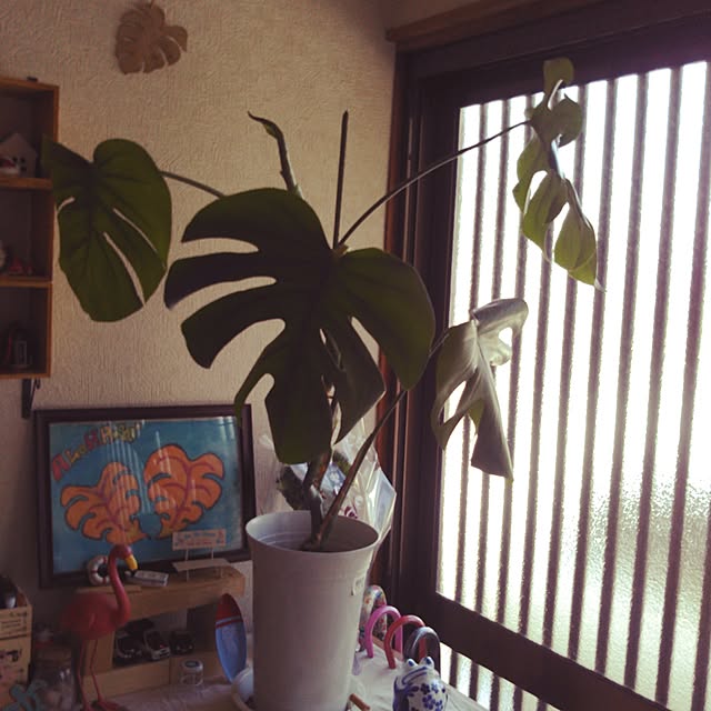 opmaru.maさんの実例写真