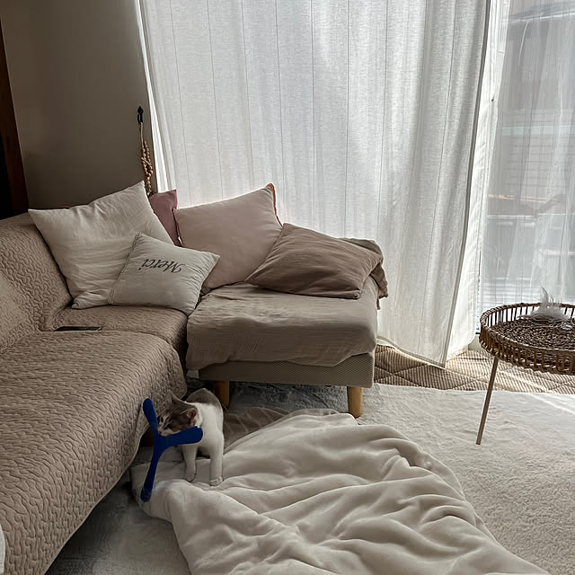 comiriさんの部屋