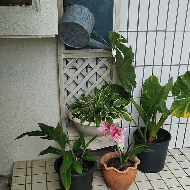 gabさんの実例写真