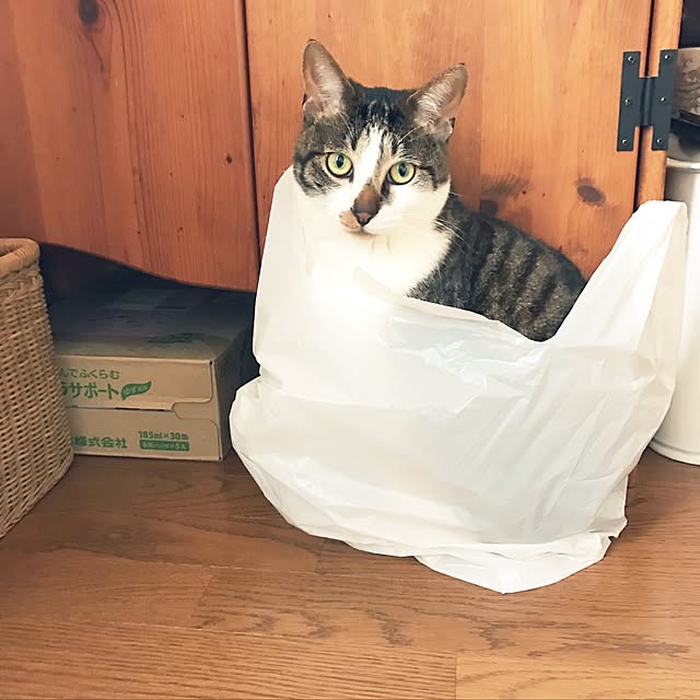 lateさんの実例写真