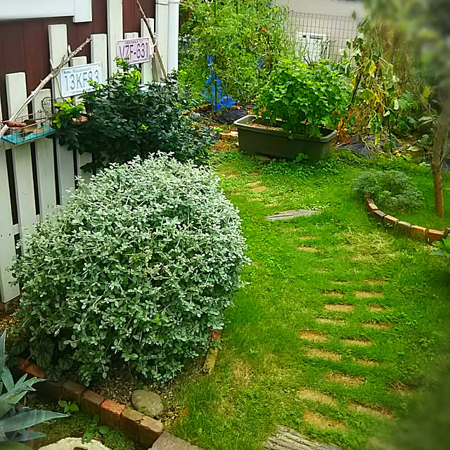 Miponappoさんの実例写真