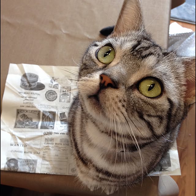 Ryokoさんの実例写真