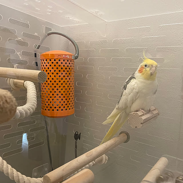 CKさんの部屋
