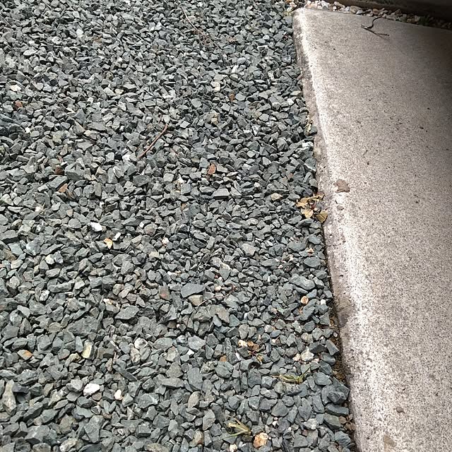 chocococoaさんの部屋