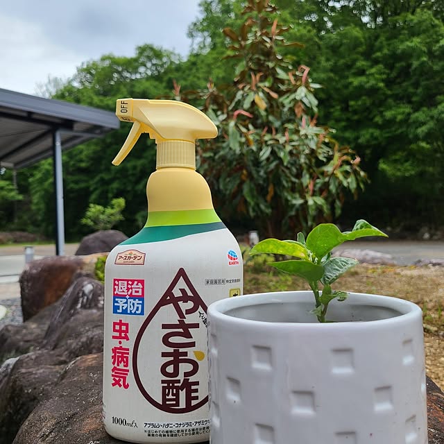 Rubiconさんの実例写真