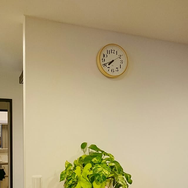 ikemiさんの実例写真