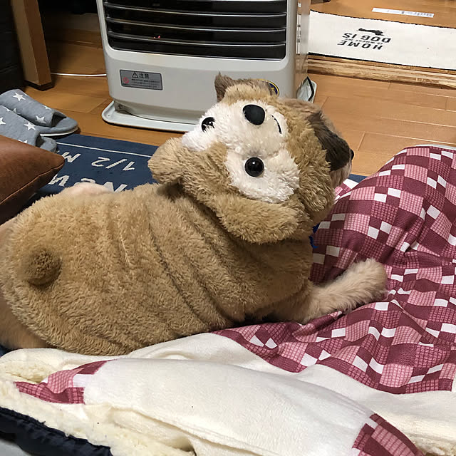 Kaiさんの実例写真
