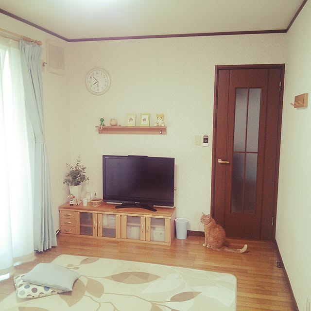 kokomiさんの実例写真