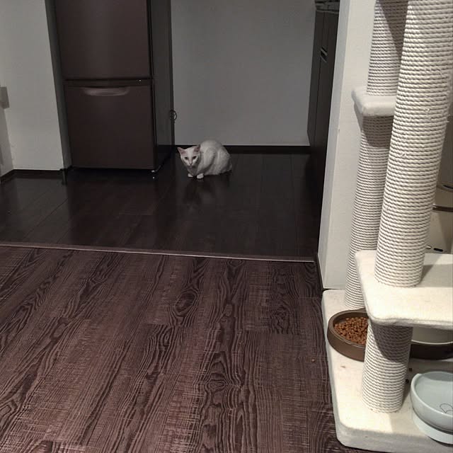 tokotokoさんの実例写真