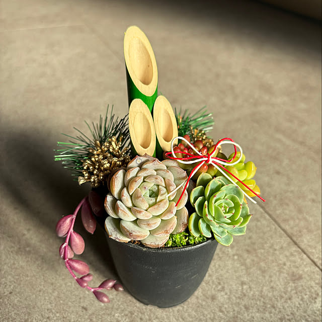 Rさんの実例写真