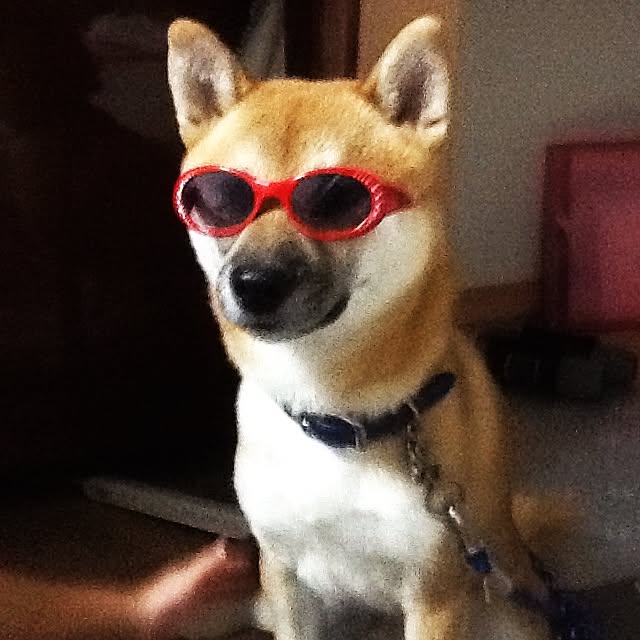 kotaさんの実例写真