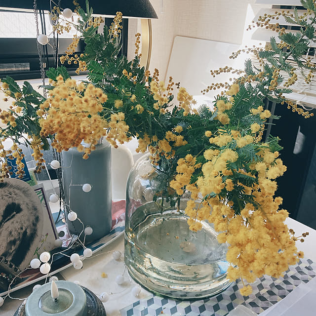 ooonyakoooさんの実例写真