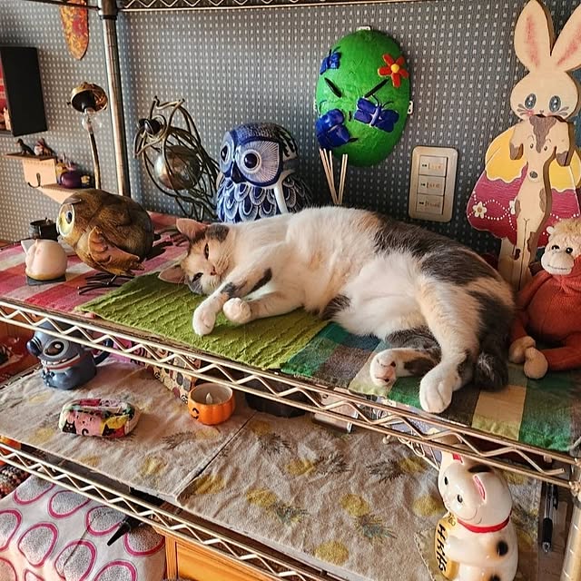 kumutanさんの部屋