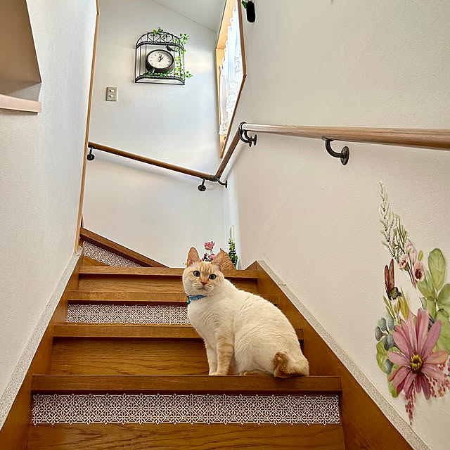 milkさんの部屋