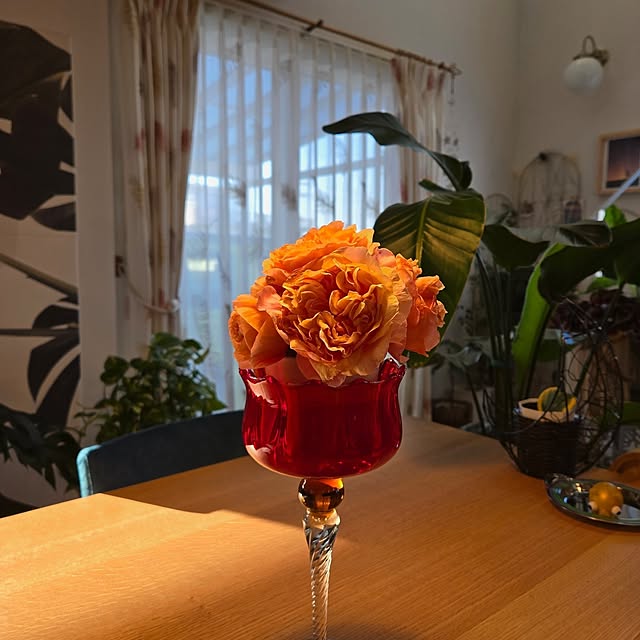 nonbiri_house_さんの実例写真