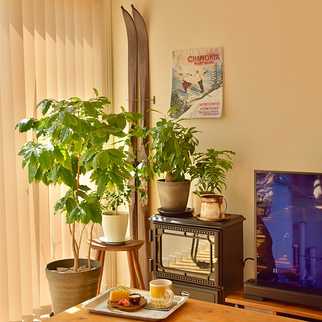 mikigumaさんの部屋