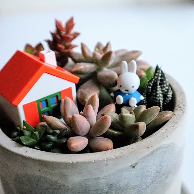 yunohaさんの実例写真