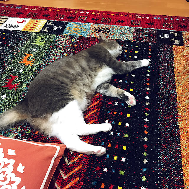 Yokoさんの実例写真