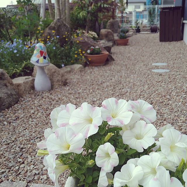 ya-さんの実例写真