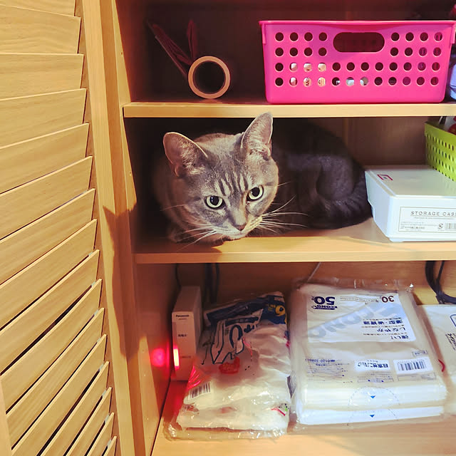 yuukiさんの実例写真