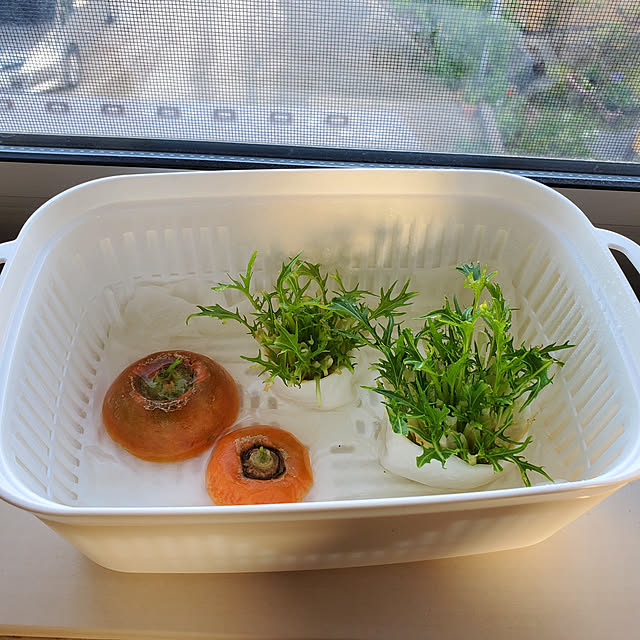 KOHAKUさんの実例写真
