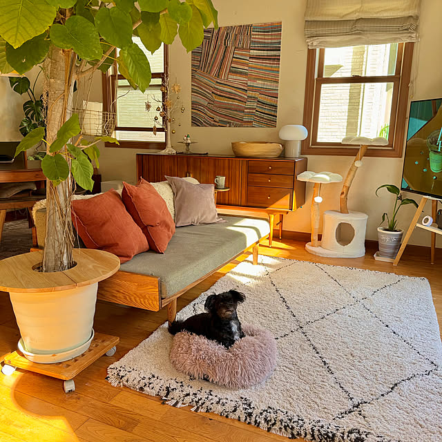 67さんの実例写真