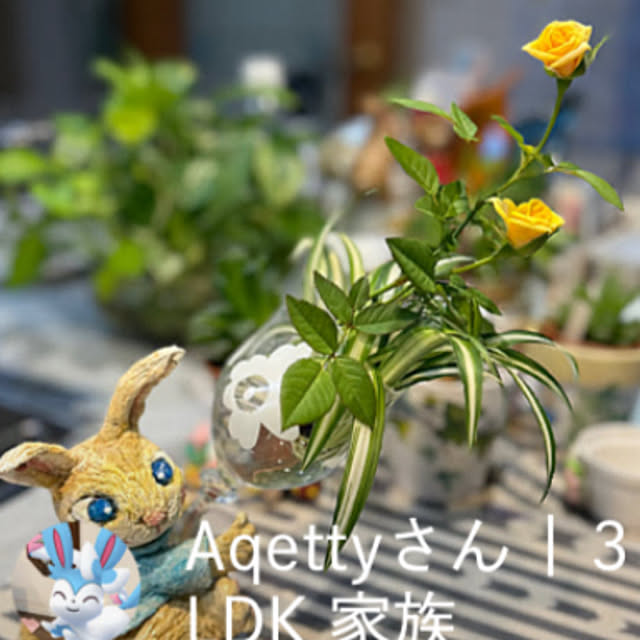 Aqettyさんの部屋