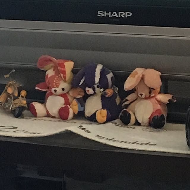 cometsさんの実例写真