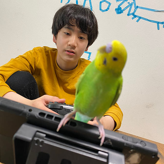 ohanaさんの部屋
