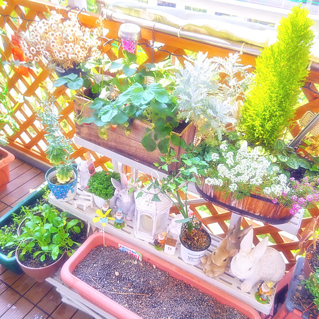 mariaさんの実例写真
