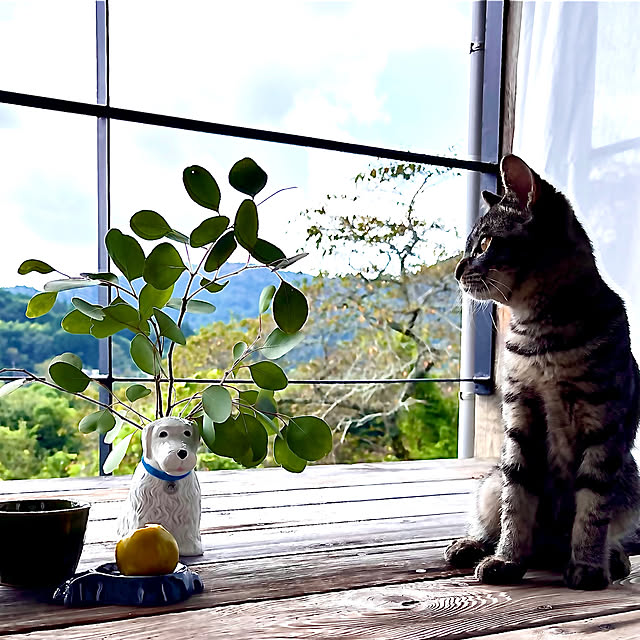 sakurasakuさんの実例写真