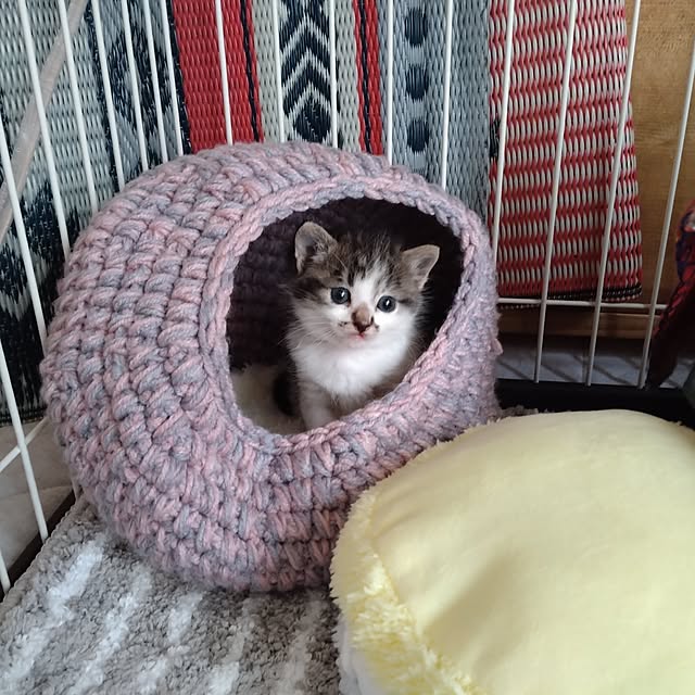 mikisunさんの実例写真