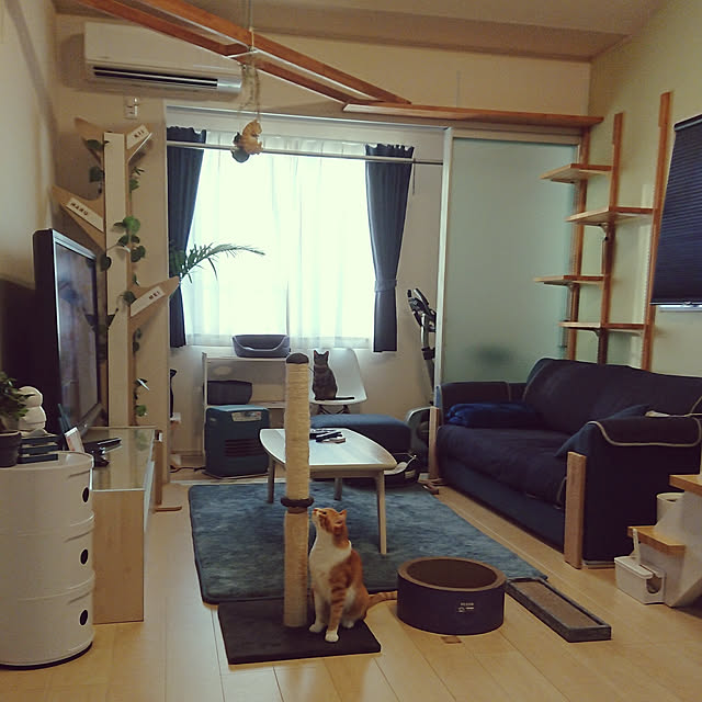 taka-kiさんの実例写真
