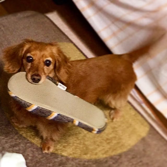 sakuさんの実例写真