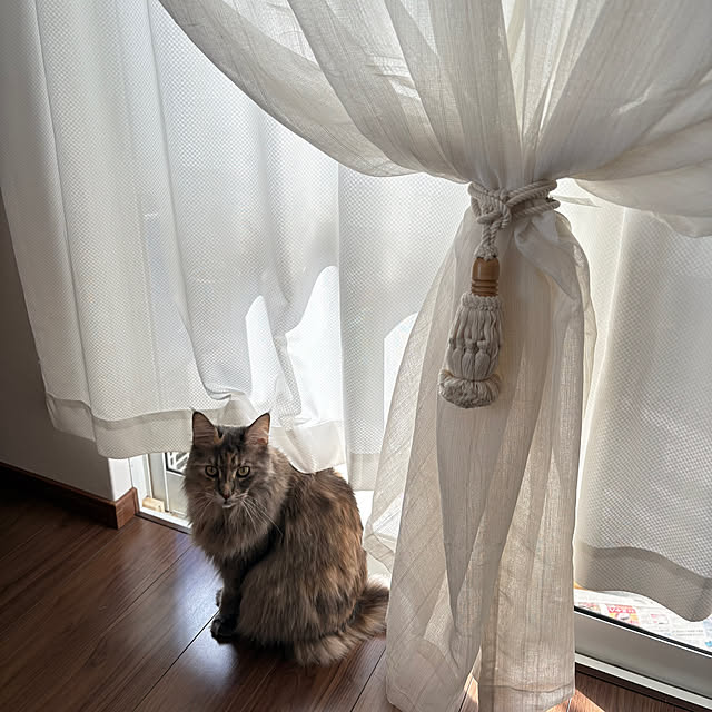 mayumiさんの部屋