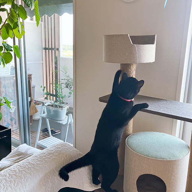 nekomiさんの部屋
