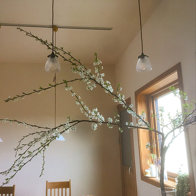 AmandiNeeDさんの実例写真