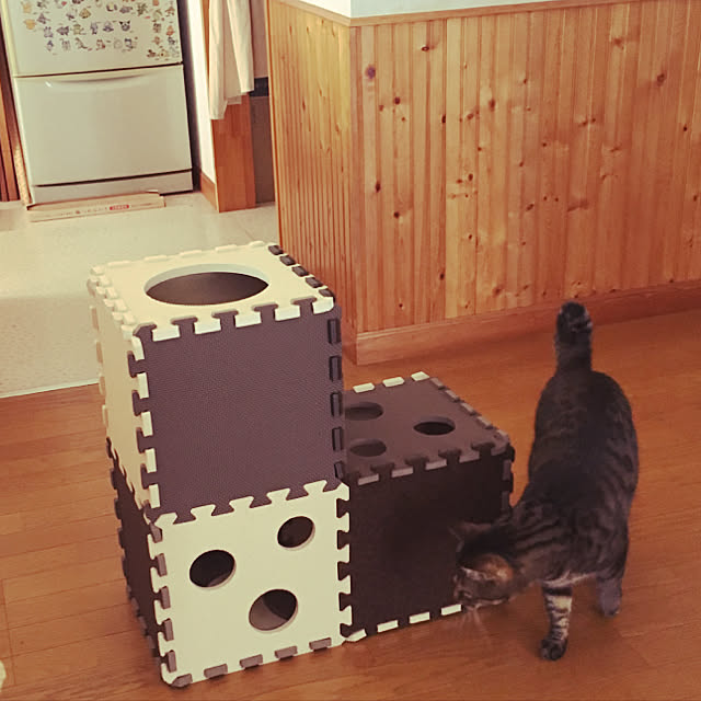 ベッド周り/猫のいる暮らし/シャンブルで購入のインテリア実例 - 2018-09-18 17:53:02