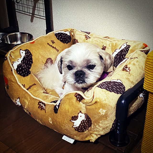 lenkaさんの実例写真