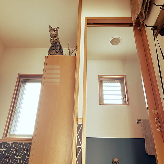 Mさんの実例写真