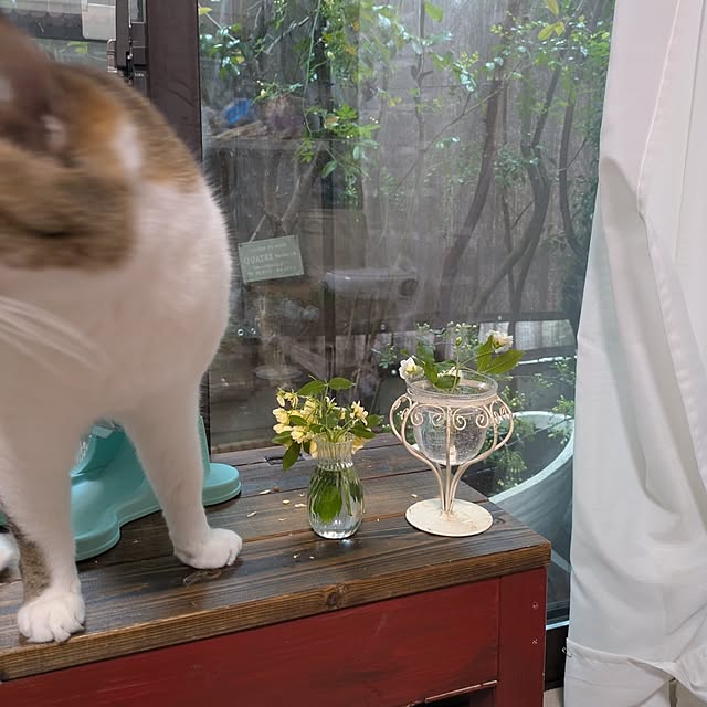 mori_6_12さんの部屋