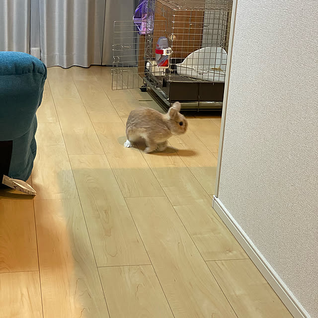 ree33さんの実例写真