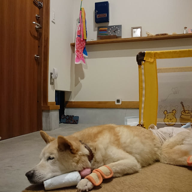 Kazuさんの実例写真