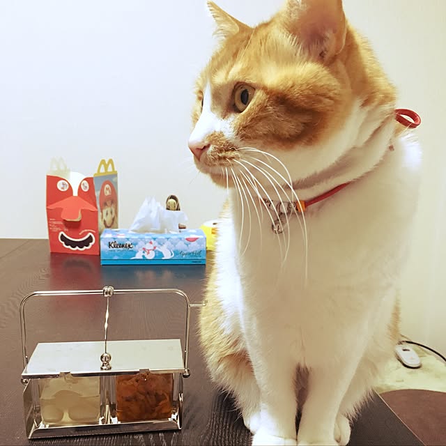 nyanyakoさんの実例写真