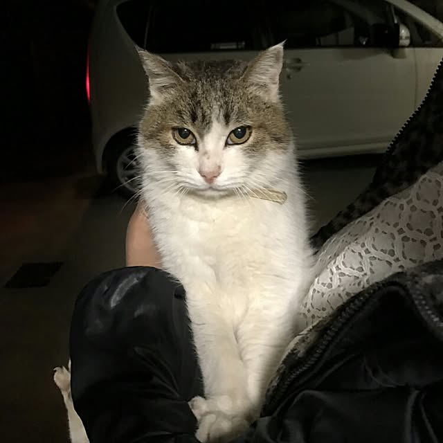 lemoned1126さんの実例写真