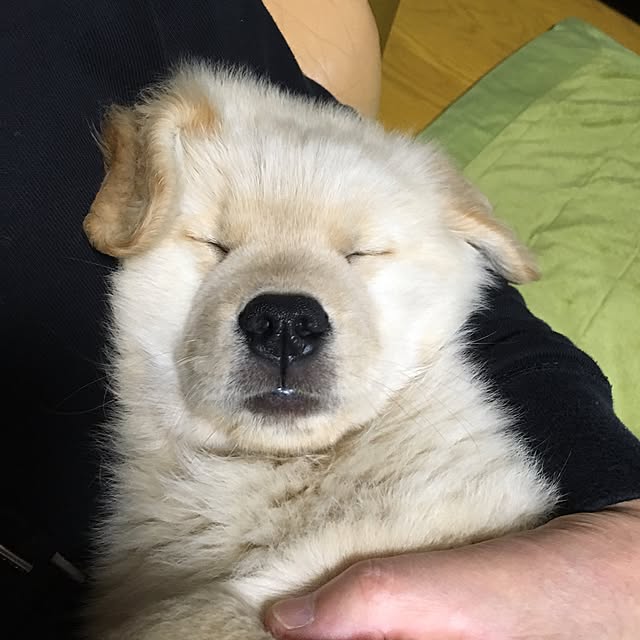 kimkimさんの実例写真