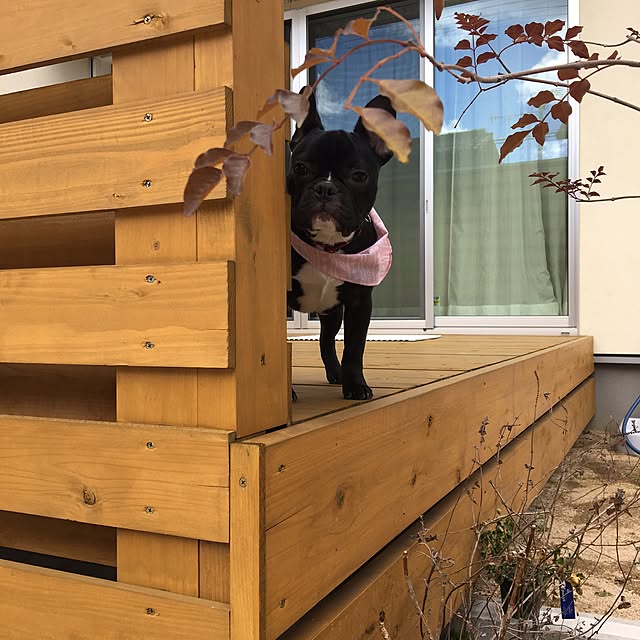 fbmerryさんの実例写真