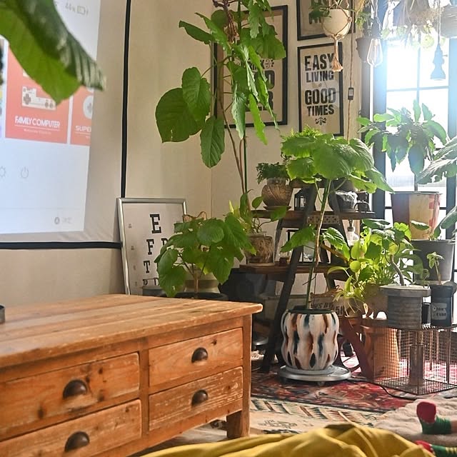 CYNOSさんの実例写真