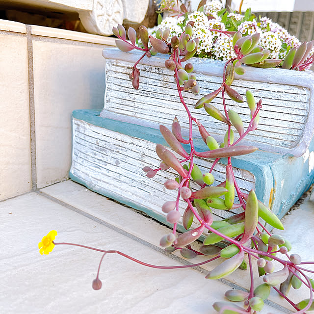 eriharuさんの部屋